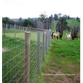 Cerca de gado na cerca de campo agrícola
